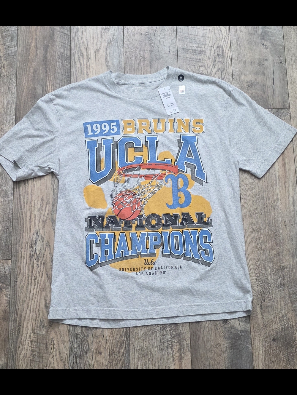 Hollister UCLA 'Bruins 1995' Graphic Tee - Gray, Blue & Gold